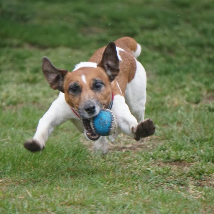 6116acc8 96bf 4313 a1e5 b46703e5969e 1556059344986