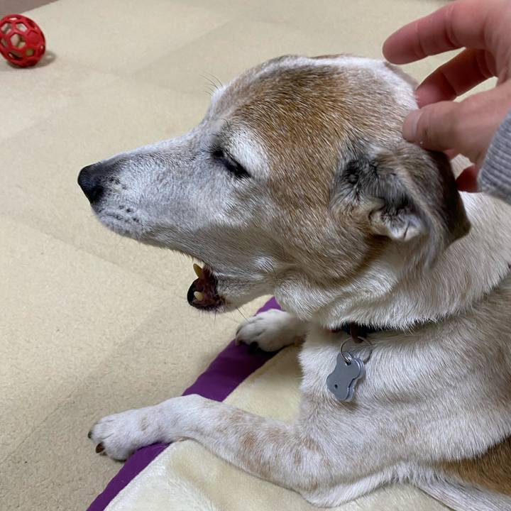 6116b1b0 13a3 40ad 883b ac769bb56b9c 1643202864573