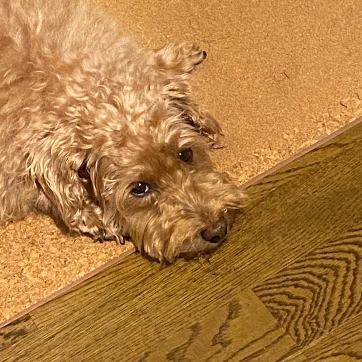 6116c802 7686 4c37 aeb9 acaa44ea7f9a 1694688192988