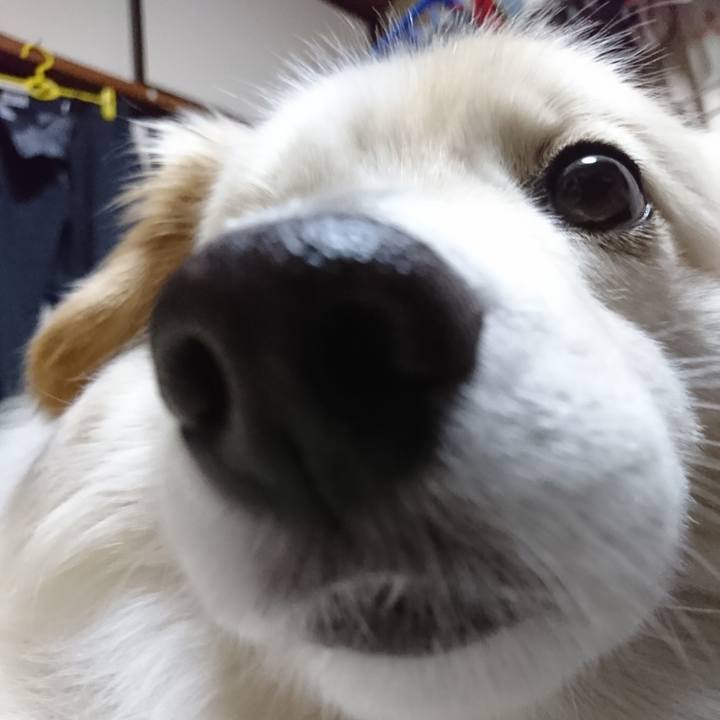 6116e17f 15b6 4115 b830 765b7a5b7696 1523355983051