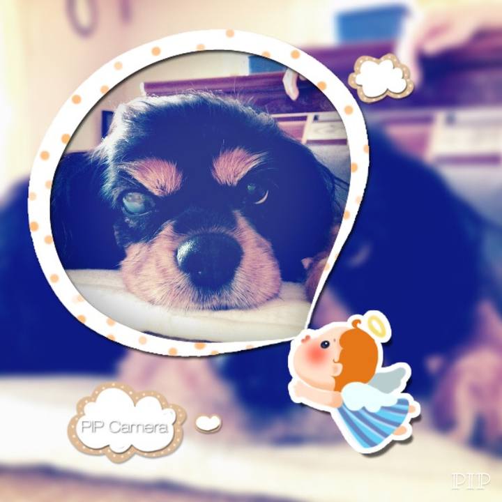 61173a2b 5d80 42a3 ba12 6696c539a401 1510707305407