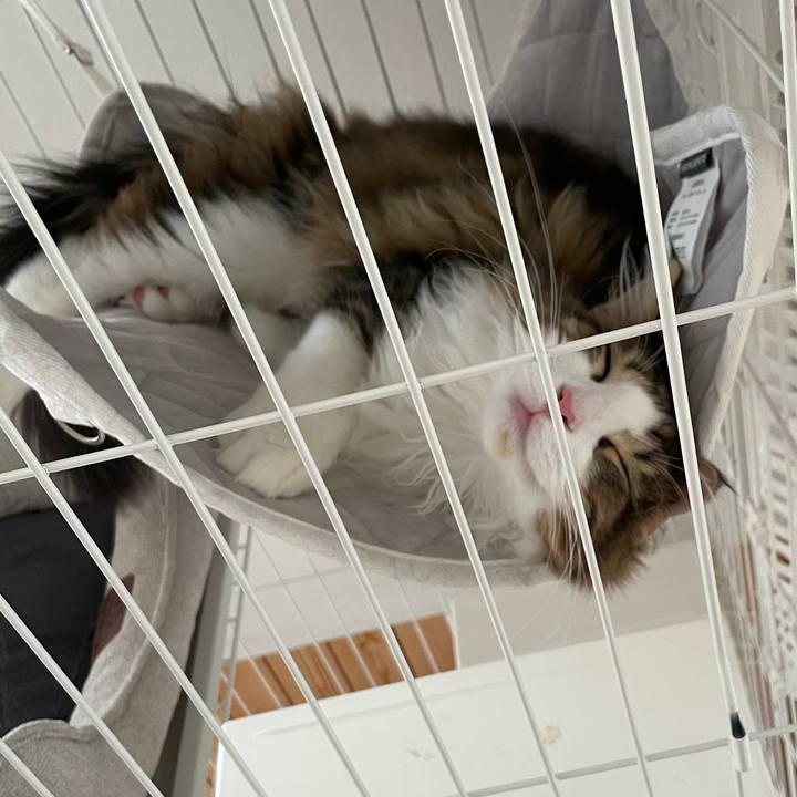 6117aaef 5a07 4804 bdaf 3a23a9c30e51 1639278313299