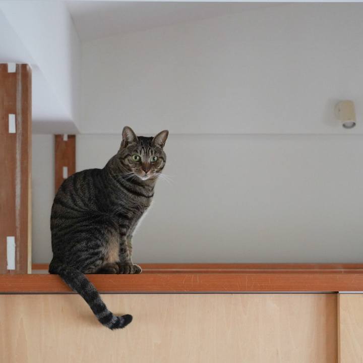 6117ac62 bc0f 456a a3c1 ce4ad696c799 1743828380006