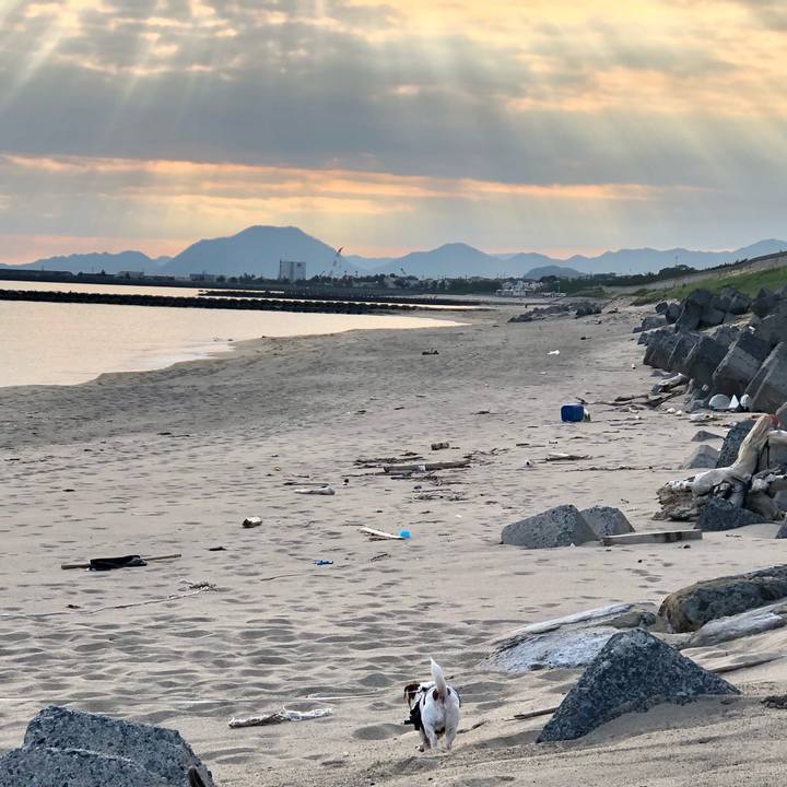 6117aef7 da34 4ea0 90b2 5329c2827a50 1718603124457