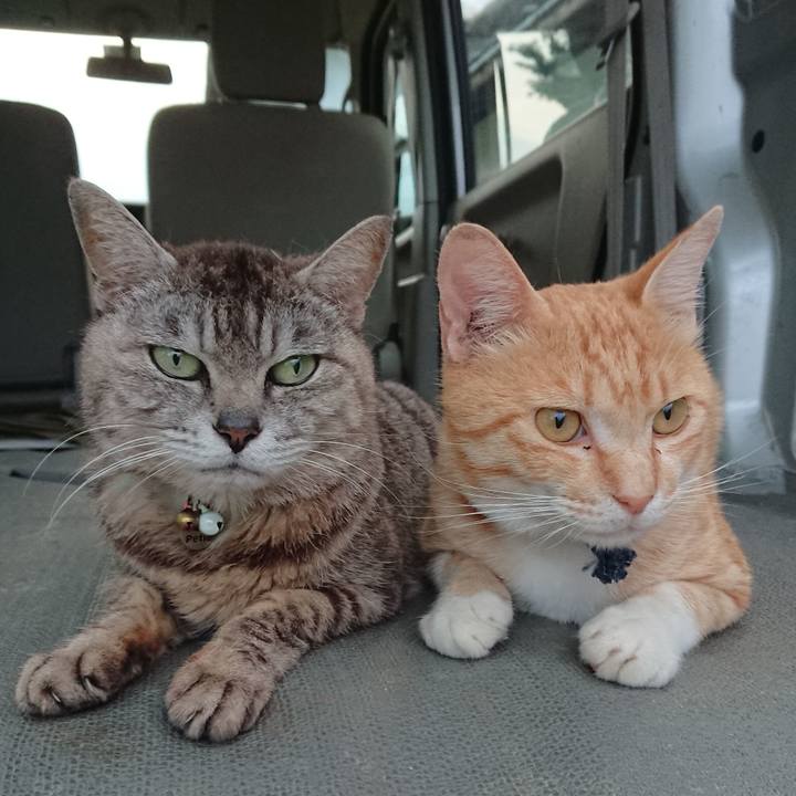 6117ba8d 4934 49f0 92bf 33836322835d 1561975322297