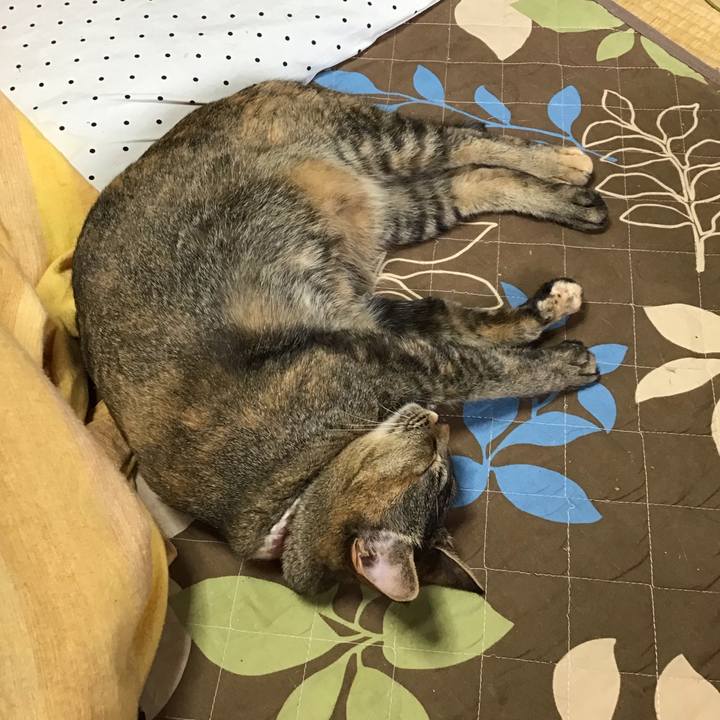 611832d2 c22b 4694 80ce 9f028c259974 1653616006285