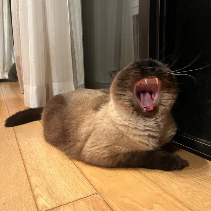 61183a34 7b15 41e4 97fb eabbdc66781e 1686140686926