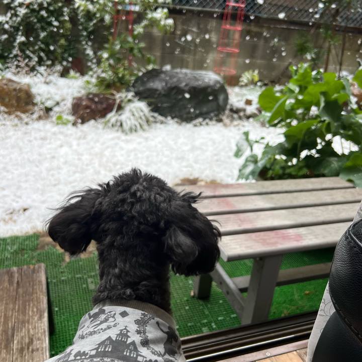 611852a4 88d3 4911 ad49 1398a743e0fd 1773099169759