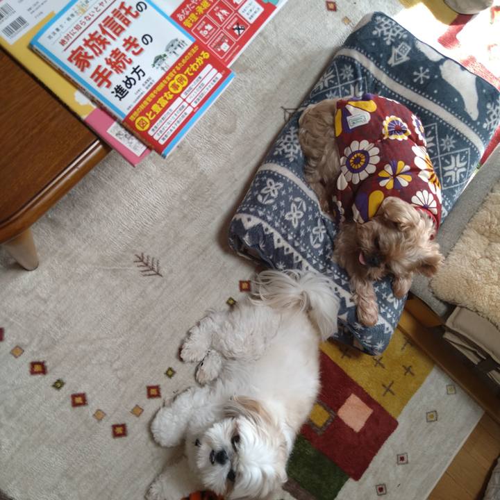 61185c92 3041 4d42 ad3e e7b6cc184236 1639281950008