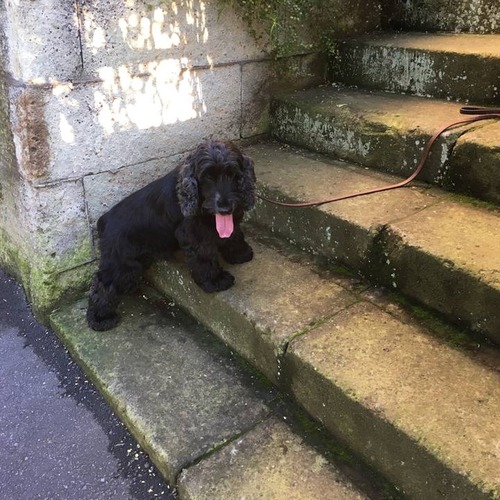 61188932 c814 4e30 8dbe ff723eed9f40 1508755058804