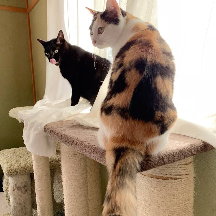 611891de b15c 43fd a646 3c314dc715d4 1540174905180