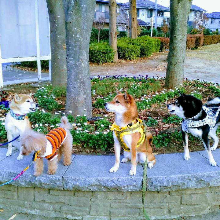 6118d097 a4c9 4981 b01f 83b30d860557 1510300981296