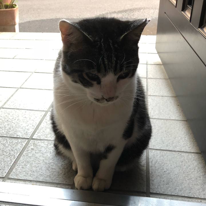 6118f662 ff45 449f a84b 2137118516ac 1529832011040