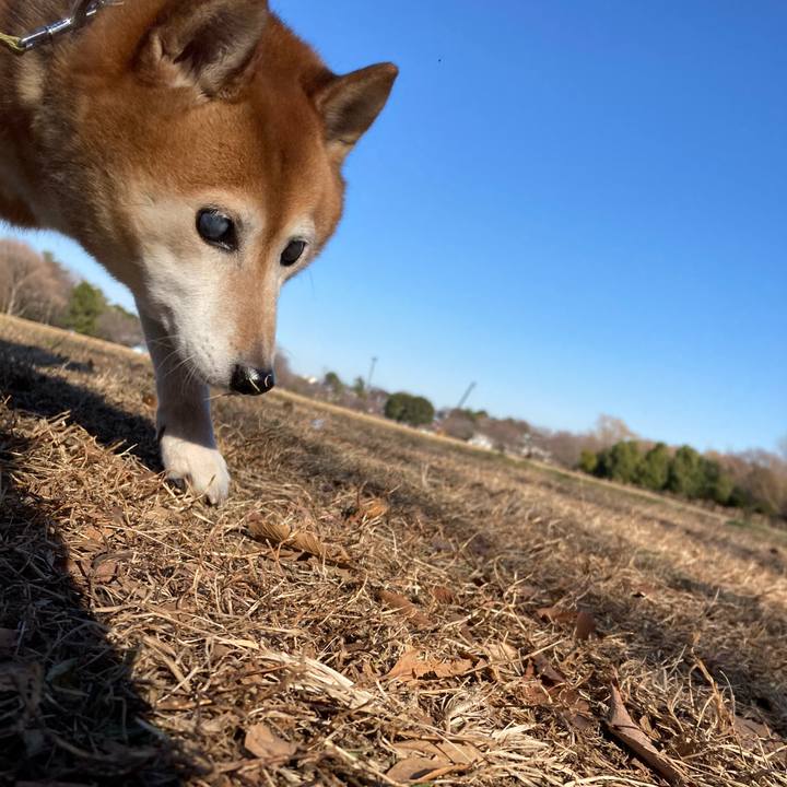 6118f867 95ee 4eae aa17 8aaf1fd25184 1673416435418