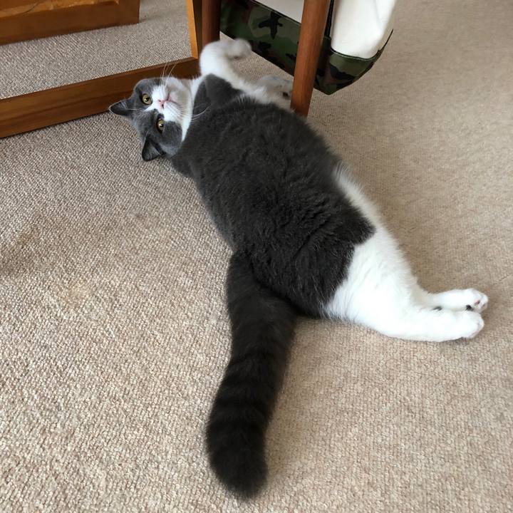 61193113 931b 4790 929f 71185ca32b54 1543017514208