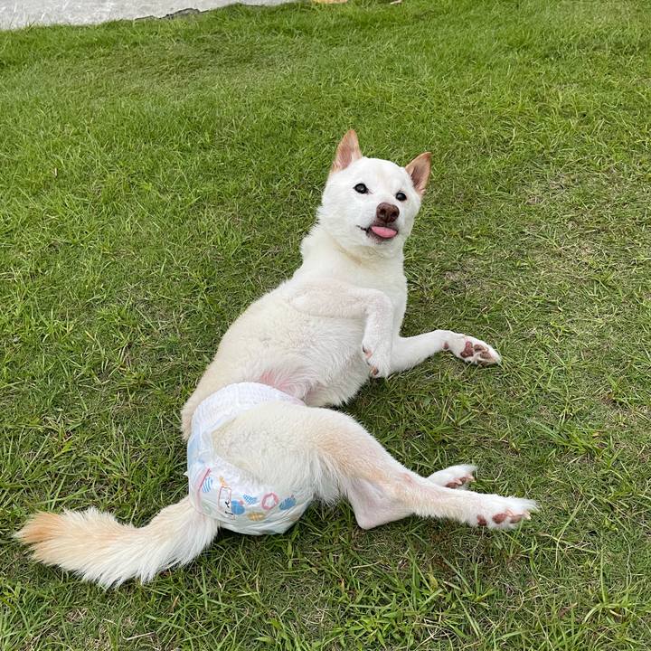 61194024 3665 45cc 83f6 902e51e4f4c4 1665085183518