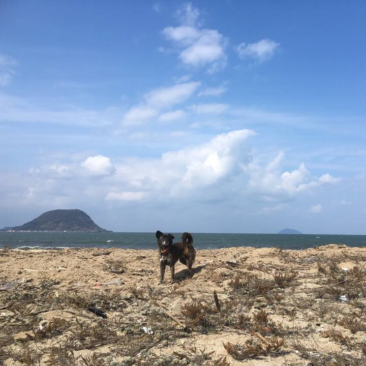 6119d07c e7d5 4859 a810 9744c3a41cae 1550927994661