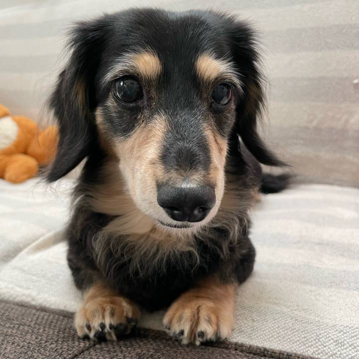 6119d6b4 5fba 46e6 9a0b 7c0299ac8e7d 1663287830076