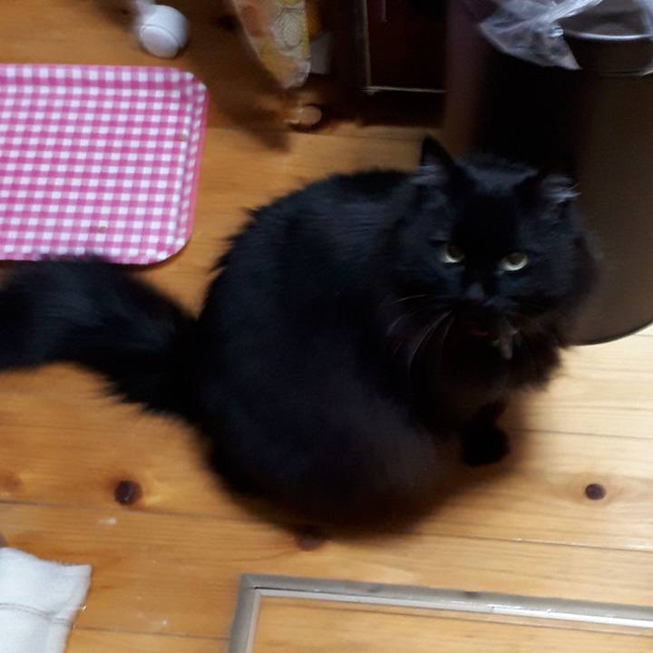 6119dfa5 9c27 40f5 bcac e90c4c81512d 1522008830490