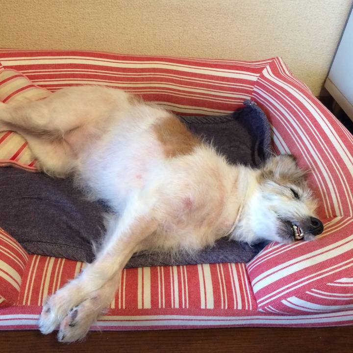 6119f6d5 e758 44ba b787 973dc8edc772 1597315732908