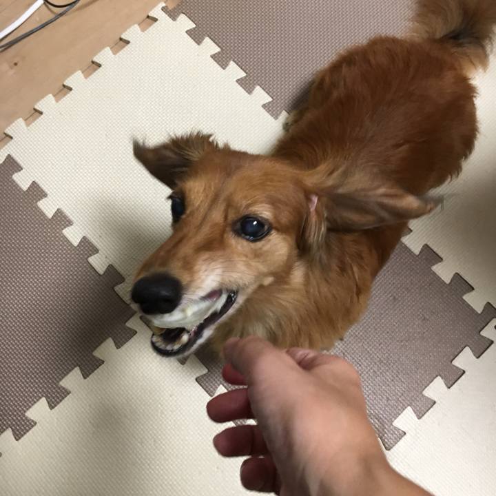 611a0240 c20b 49be 81bc 3ab2890c0e20 1568816180582