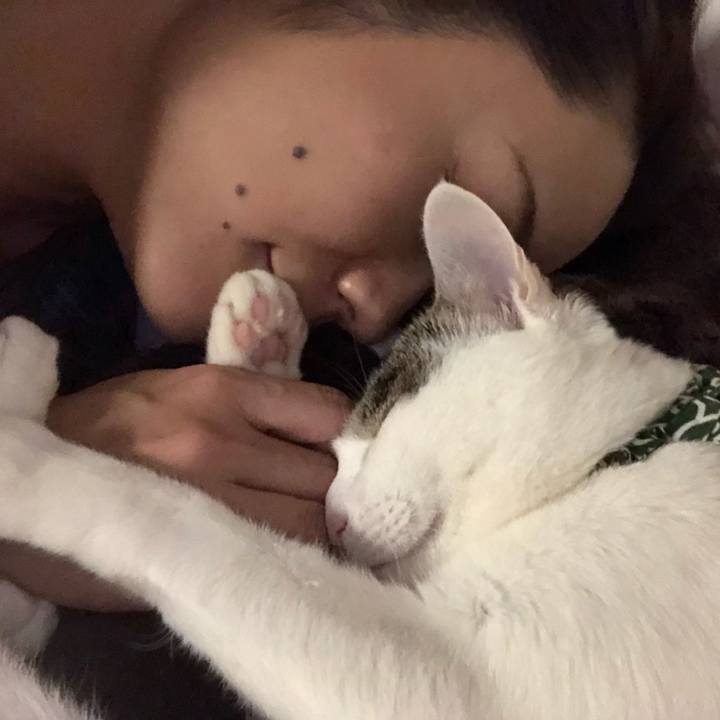 611a1f3d 9a7d 49fb a8c2 522f1b3fb10f 1541904070523