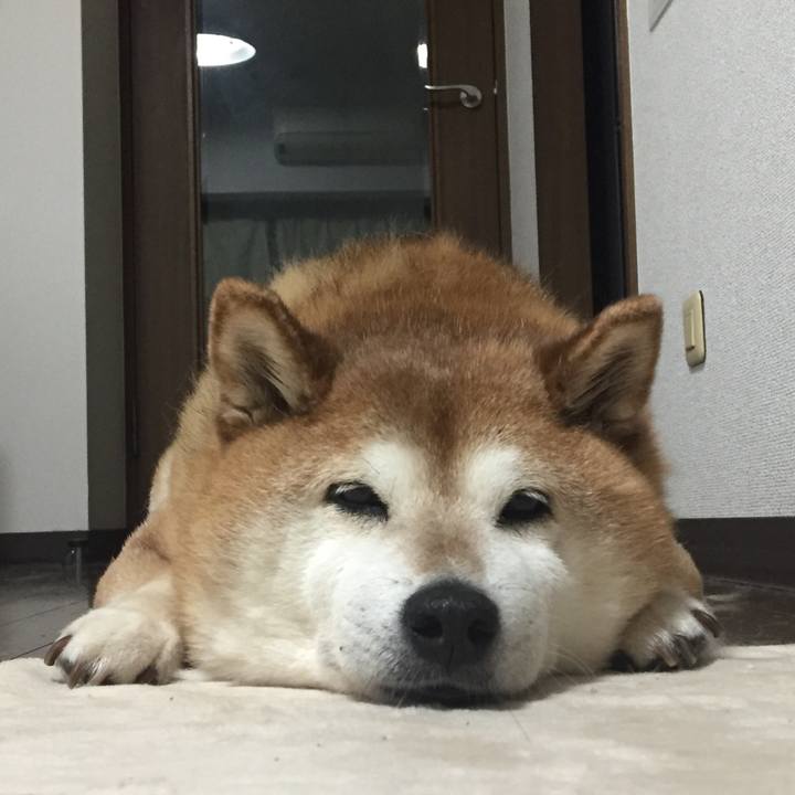 611a2dfb 5569 4bab b56d 8c51a93cf9fb 1525259060694