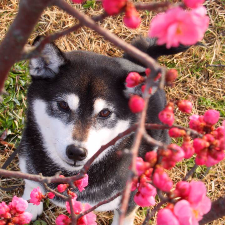 611a6b41 aab0 4402 bdc9 dbc05d541fed 1583565701587