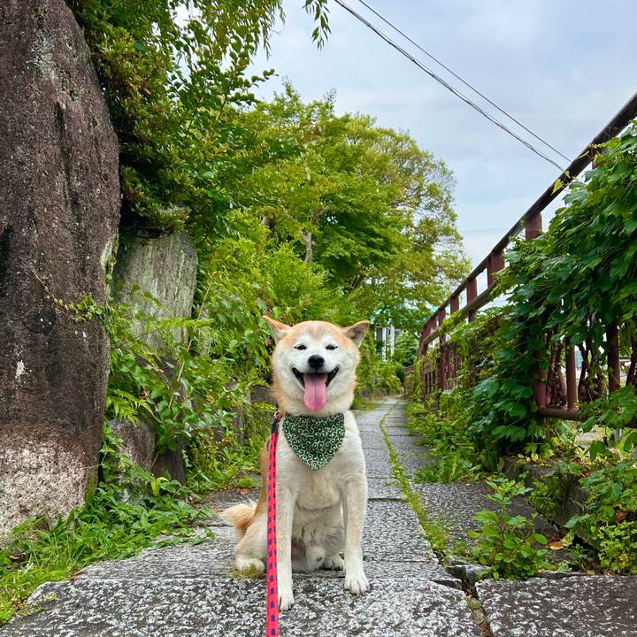 611a74b5 e5be 492c bd05 450f7a7d16c3 1750504514956