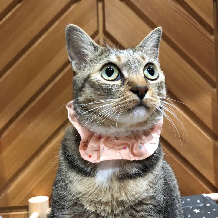 611ab1d9 7fee 4234 81bb a3bc77feb3e2 1665659201100