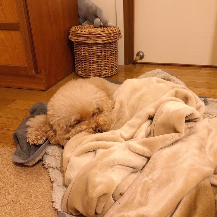 611ac7ab 9bc5 44fd 926a 2aa6466d285f 1511256803173