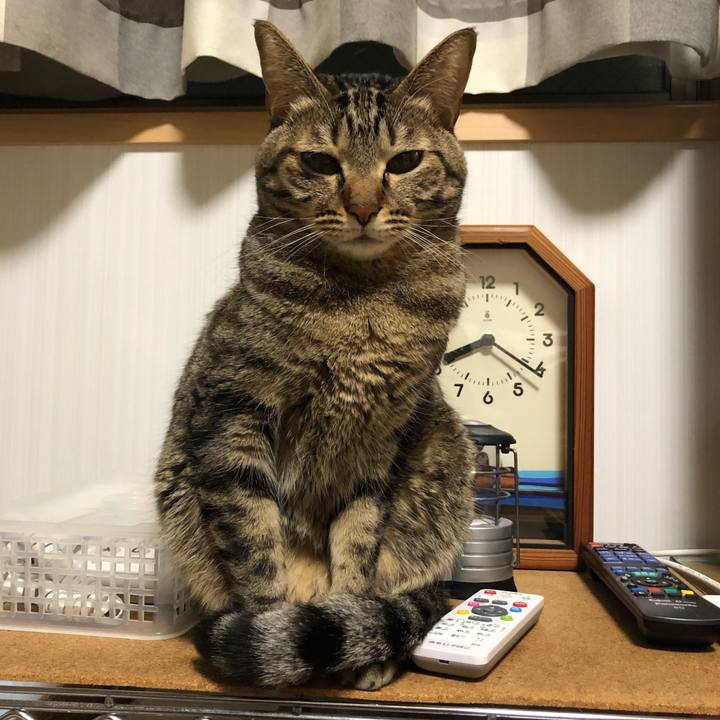 611ae398 6b7d 434c 8339 bfb605cbe579 1579654265644