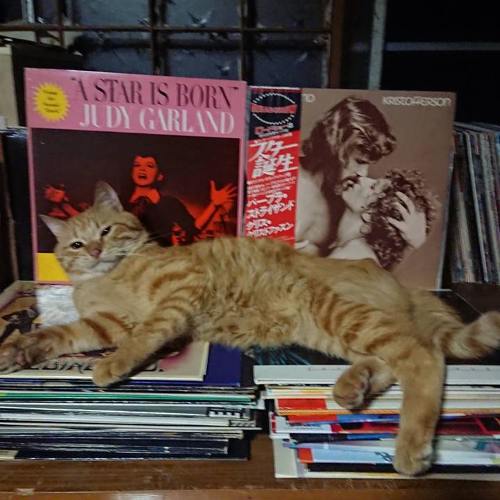 611b27b9 2851 4e6f 9a2c a8285c6f531c 1660136676547