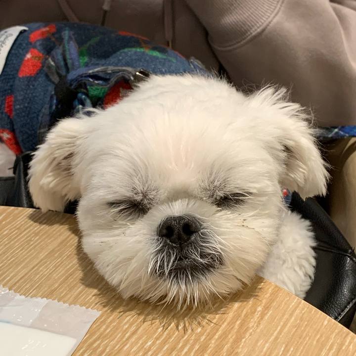 611b2b2b 6174 424f b564 c7c77bc45926 1640002985943