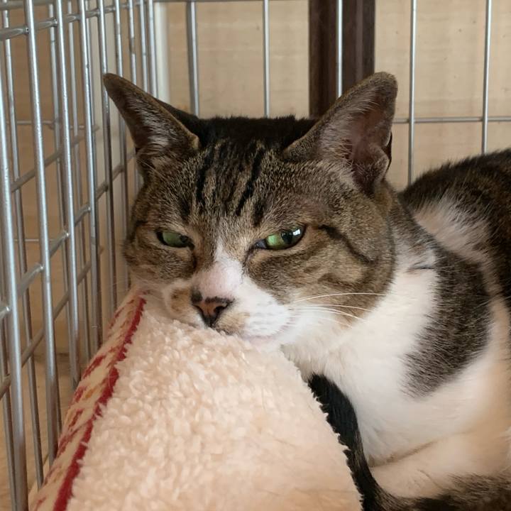 611b3612 b6da 4ef6 8b6a 473fd84e4d40 1590022487423