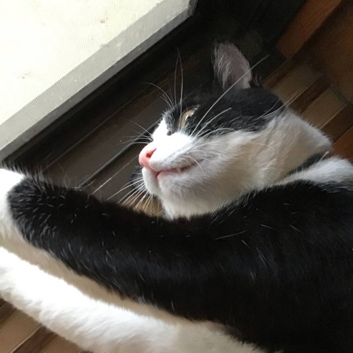 611b7db7 a72a 402b 9503 aa458394e953 1659178795647