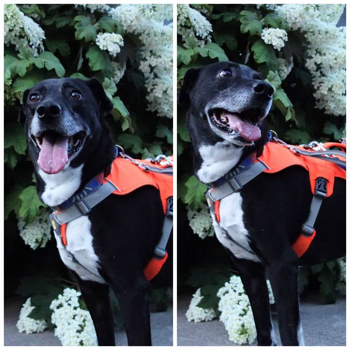 611b7f60 572f 45ed 9082 7594559764f7 1716819168773