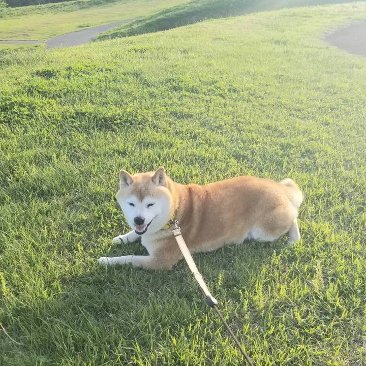 611b8c31 ea3b 4ada b46b e08554b5cabf 1684312680502