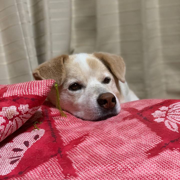 611baaff 075e 4045 8d5a 1cebd2510d2a 1655816195782