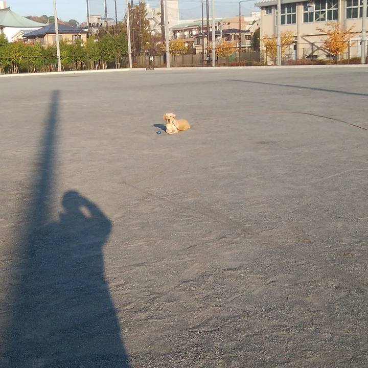 611c3ee4 334d 4999 878e 350f0b0f3b90 1511956776908