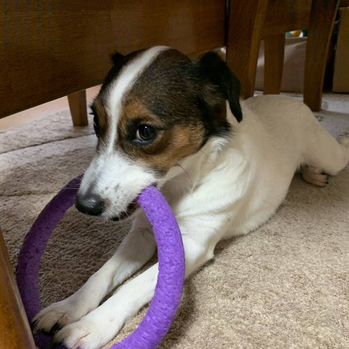 611caa22 f6c1 4b0b ba15 011ac56a7da5 1577315892668