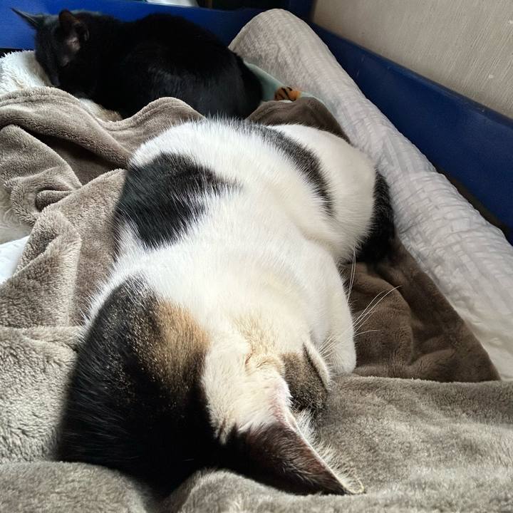 611d150f f0ab 4038 aaf3 6827f6a5b135 1769340500885