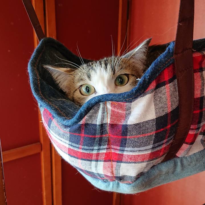 611d1db4 1eb8 49c0 a1e3 672c9234a636 1581222297261