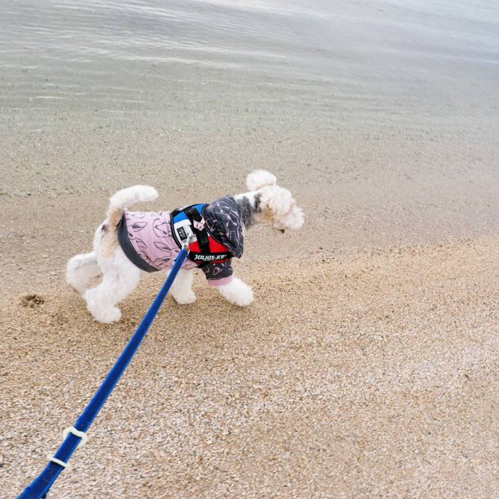 611d469a 1da6 4ab1 b761 e74a84cab28d 1544942746763