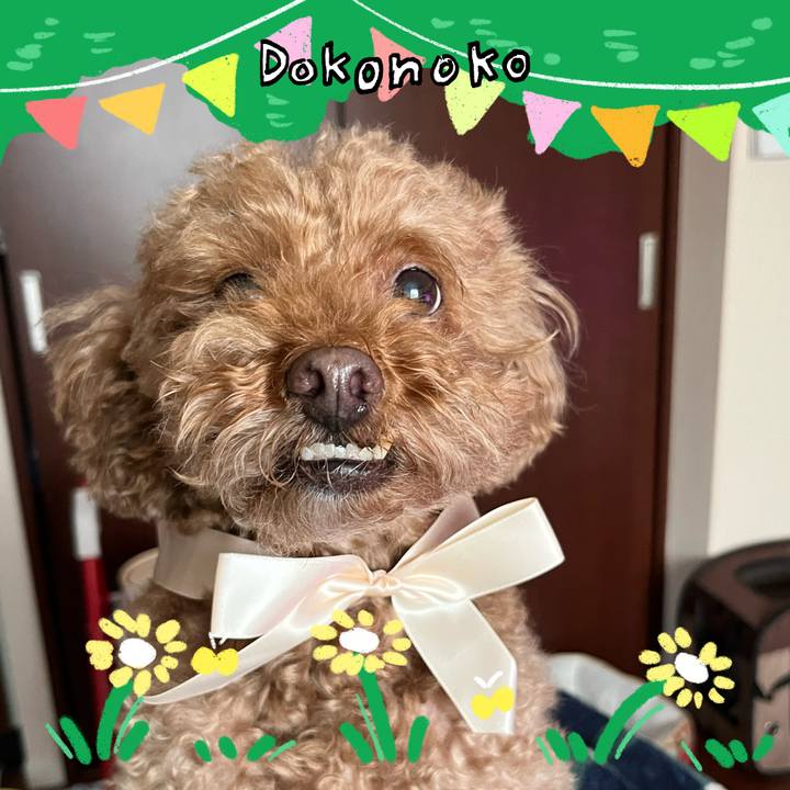 611d5017 5a10 48fd 8944 d6c66f42b937 1711113277937