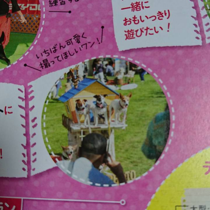 611d693a b93e 4887 94bc bed59e167fd8 1566049297145