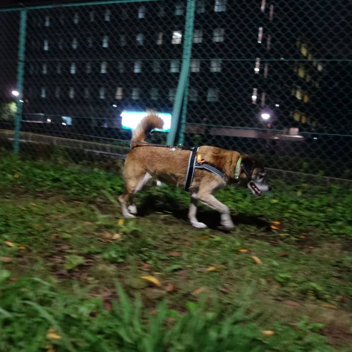 611dace8 4f1b 4430 bac1 96b3d978b0ff 1572222134371