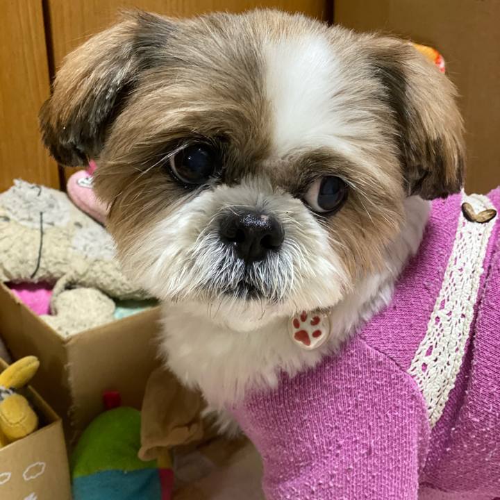 611daebb 2f44 40ea 846d 61d955e22249 1635765042447