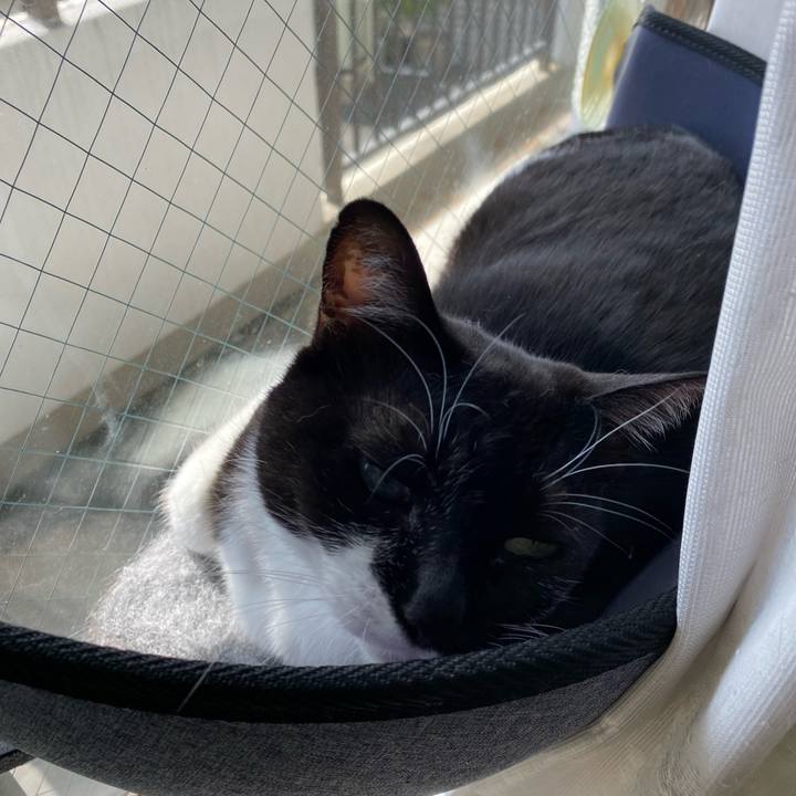 611db7ee 3c92 4225 8488 0b8eccf73e64 1697024694409