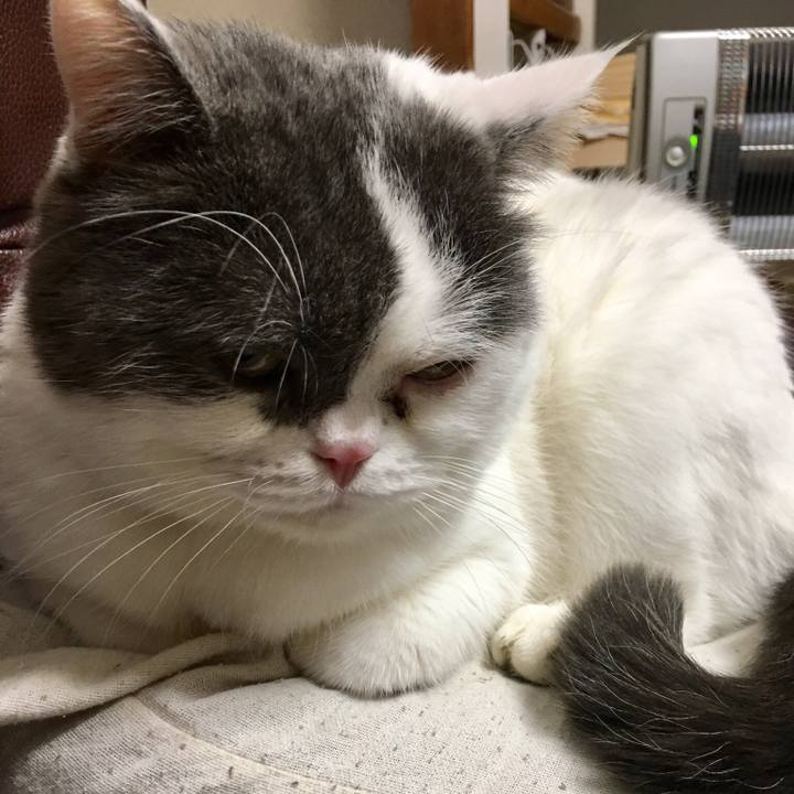 611dff97 86d4 4093 a6a1 f3732383db09 1517385259814